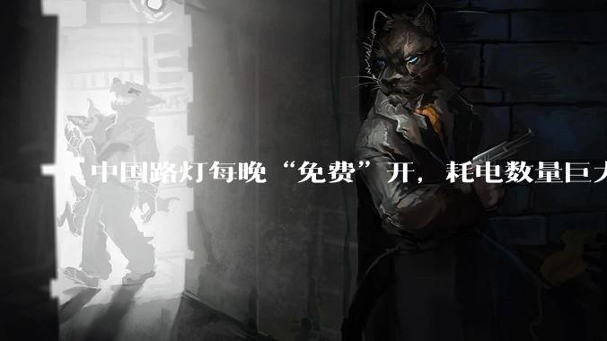 中国路灯每晚“免费”开，耗电数量巨大，是谁在承担高额电费呢？