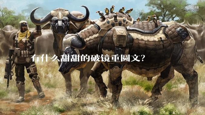 有什么甜甜的破镜重圆文？